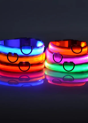 Dog Collar Nylon LED Night Safety Flashing Glow In The Dark Pet Dog Leash pet Dogs Luminous Fluorescent  dog accessories collar