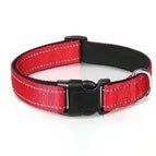 Red collar / XL