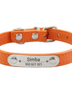 Orange / XS (22-27cm)