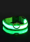 Green / XL neck 42-56cm