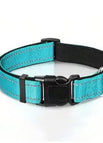 Sky blue collar / L