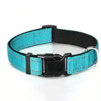 Sky blue collar / L