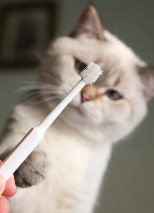 Cat Toothbrush Soft Hair Brush for Cats Mouth Cleaning Cat Brush for Teeth Cleaning Pet Grooming Cats Toothbrush Pet Products