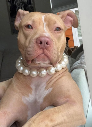 Dog Pearl Collars for Large Dogs Cats Pet Necklace Jewelry Chihuahua Yorkie Girl Clothing Dress Costume Accessories Wire Rope