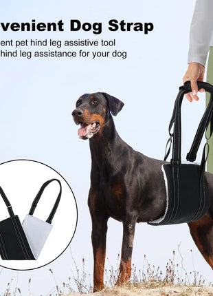 Dog Lift Harness Adjustable Dog Sling for Back Legs Support Rehab Harness for Weak Rear Legs Pet Aid Assist Tool For Elderly Dog