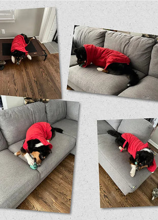 Dog Bathrobe Towel Bath Robe Pet Bathrobe Drying Coat Absorbent Towel For Large Medium Small Dog Super Fast Dry Soft Adjustable