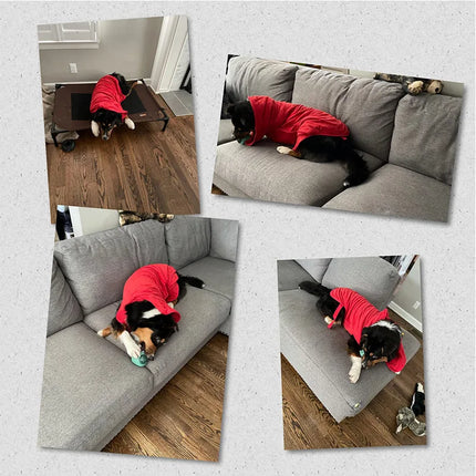 Dog Bathrobe Towel Bath Robe Pet Bathrobe Drying Coat Absorbent Towel For Large Medium Small Dog Super Fast Dry Soft Adjustable