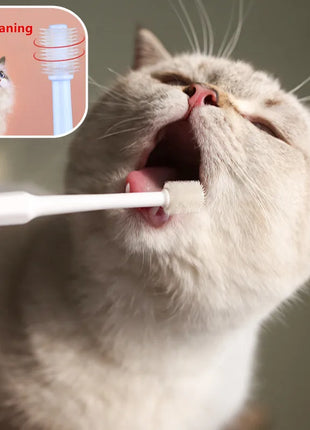 Cat Toothbrush Soft Hair Brush for Cats Mouth Cleaning Cat Brush for Teeth Cleaning Pet Grooming Cats Toothbrush Pet Products
