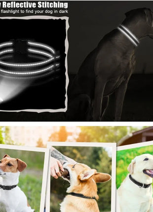 Dog Collar Reflective Adjustable Breathable Nylon Soft Padded DurableePet Collar for Small Medium Large Dog Bone Rope