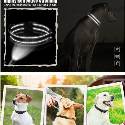 Dog Collar Reflective Adjustable Breathable Nylon Soft Padded DurableePet Collar for Small Medium Large Dog Bone Rope