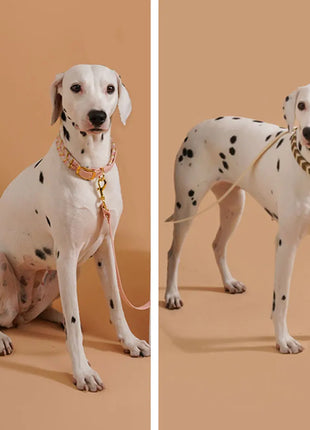 Dog Fashion Collar For Ladies Handmade Design Pet Colorful Neck Ring Small Medium and Large Dogs Lead-collar Wear Supplies