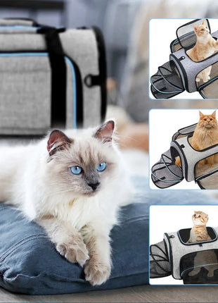 Pet Carriers Backpack Portable Breathable Foldable Cat Bag Transport for Cats Dog Carrier Bags Outdoor Travel Pets Transport Bag