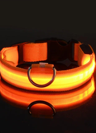 Dog Collar Nylon LED Night Safety Flashing Glow In The Dark Pet Dog Leash pet Dogs Luminous Fluorescent  dog accessories collar