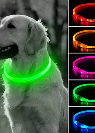 Led Dog Collar Luminous Usb Cat Dog Collar 3 Modes Led Light Glowing Loss Prevention LED Collar For Dogs Pet Dog Accessories