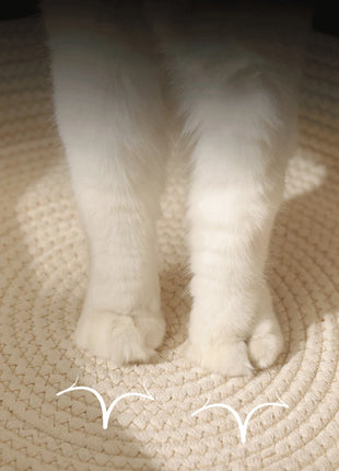 Cat Bed Handmade Rattan Woven Pet Nest Removable Washable Warm Pad All-Season Cat Scratch Board Winter Warm Cat House for Cats
