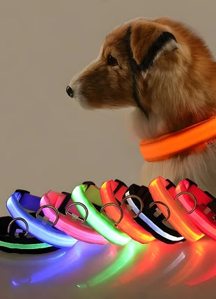 Dog Collar Nylon LED Night Safety Flashing Glow In The Dark Pet Dog Leash pet Dogs Luminous Fluorescent  dog accessories collar