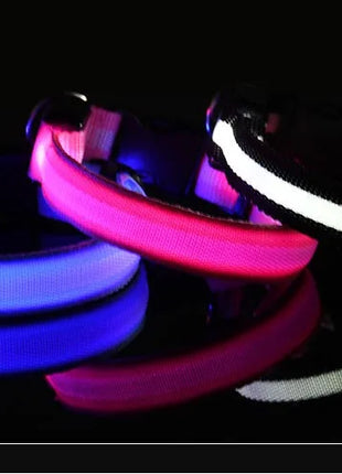 Dog Collar Nylon LED Night Safety Flashing Glow In The Dark Pet Dog Leash pet Dogs Luminous Fluorescent  dog accessories collar
