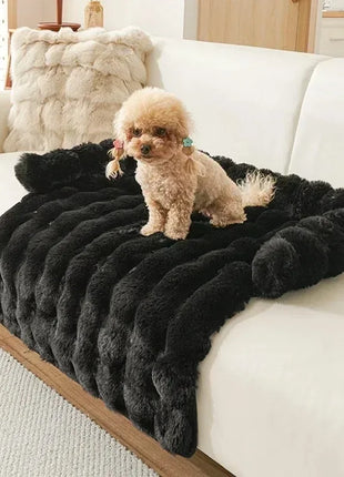 Dog Beds for Large Dogs Small Breeds Accessory Pet Supplies Basket Bed Medium Baskets Puppy Accessories Big Cushions Bedding