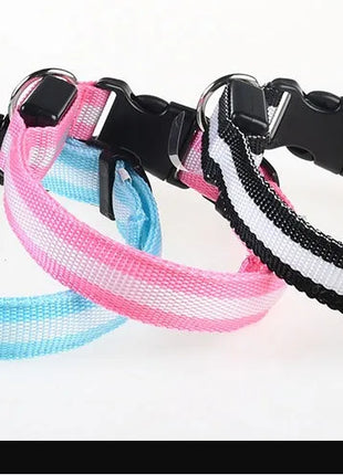 Dog Collar Nylon LED Night Safety Flashing Glow In The Dark Pet Dog Leash pet Dogs Luminous Fluorescent  dog accessories collar