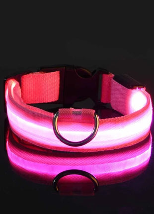 Dog Collar Nylon LED Night Safety Flashing Glow In The Dark Pet Dog Leash pet Dogs Luminous Fluorescent  dog accessories collar