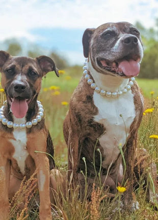 Dog Pearl Collars for Large Dogs Cats Pet Necklace Jewelry Chihuahua Yorkie Girl Clothing Dress Costume Accessories Wire Rope