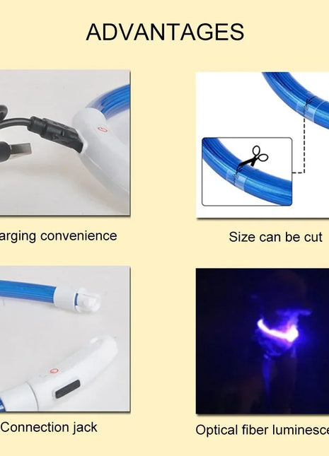 Led Dog Collar Luminous Usb Cat Dog Collar 3 Modes Led Light Glowing Loss Prevention LED Collar For Dogs Pet Dog Accessories