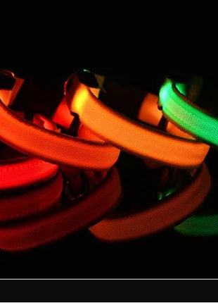 Dog Collar Nylon LED Night Safety Flashing Glow In The Dark Pet Dog Leash pet Dogs Luminous Fluorescent  dog accessories collar