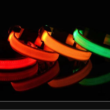 Dog Collar Nylon LED Night Safety Flashing Glow In The Dark Pet Dog Leash pet Dogs Luminous Fluorescent  dog accessories collar