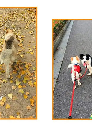 Dog Leash Double Leashes for Dogs Walking Detachable Dog Chains Two Dogs Double Leashes Walker Pet Supplies Accessories Pet Belt