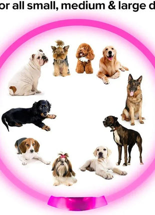 Led Dog Collar Luminous Usb Cat Dog Collar 3 Modes Led Light Glowing Loss Prevention LED Collar For Dogs Pet Dog Accessories
