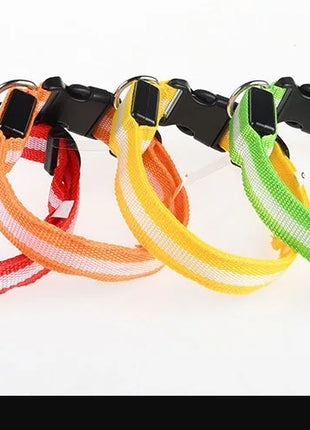 Dog Collar Nylon LED Night Safety Flashing Glow In The Dark Pet Dog Leash pet Dogs Luminous Fluorescent  dog accessories collar