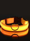 Yellow / XL neck 42-56cm