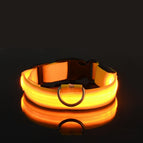 Yellow / XL neck 42-56cm
