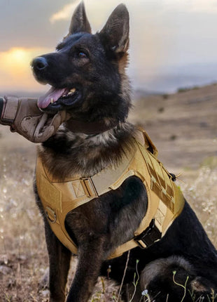 Tactical Dog Harness with Handle, No-Pull, Adjustable Pet Vest, Training, Hunting, Outdoors, Medium and Large Dogs