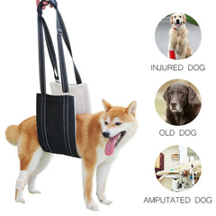 Collection image for: Dog Harnesses