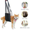 Dog Harnesses