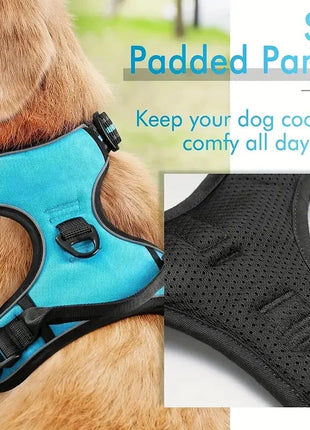 Dog Harness, No-Pull Pet Harness with 2 Leash Clips, Adjustable Soft Padded Dog Vest, Black