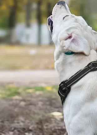 No Pull Dog Harness for Large Dogs,with Reflective Strips and Control Handle, Adjustable and Comfortable,No Choke Pet Harness ﻿