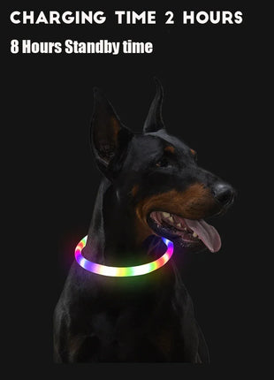 Led Dog Collar Luminous Usb Cat Dog Collar 3 Modes Led Light Glowing Loss Prevention LED Collar For Dogs Pet Dog Accessories